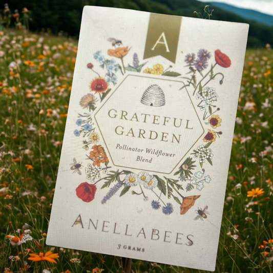 The Wildflower Seed Blend Behind Our Honey